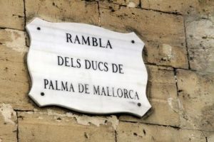 Placa calle- png
