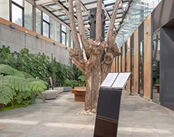 THESIZE SINTERD CERAMICS - NEOLITH