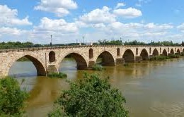 puentedepiedrazamora
