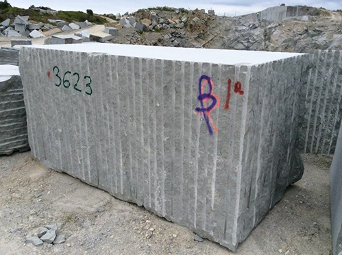 Bloque de caliza Tina.