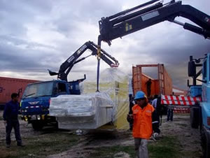 planta peru