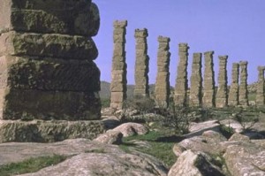 Acueducto los bañales