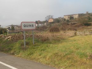 Quins