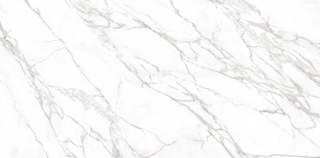 THESIZE SURFACES - NEOLITH