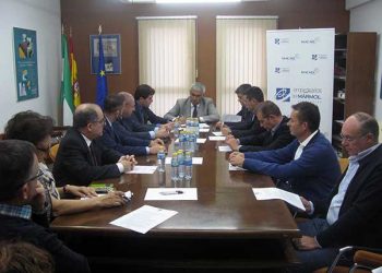 Plant estrategico marmol 201