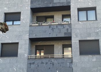 facahda piedra con patologia en AZKOITIA