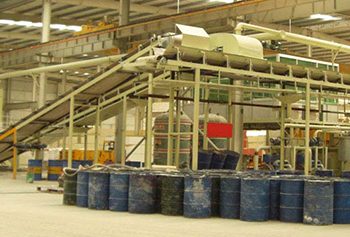 Shiva_Export_plants