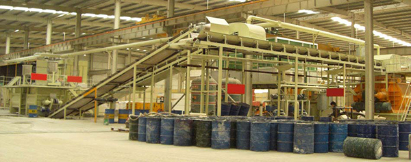 Shiva_Export_plants