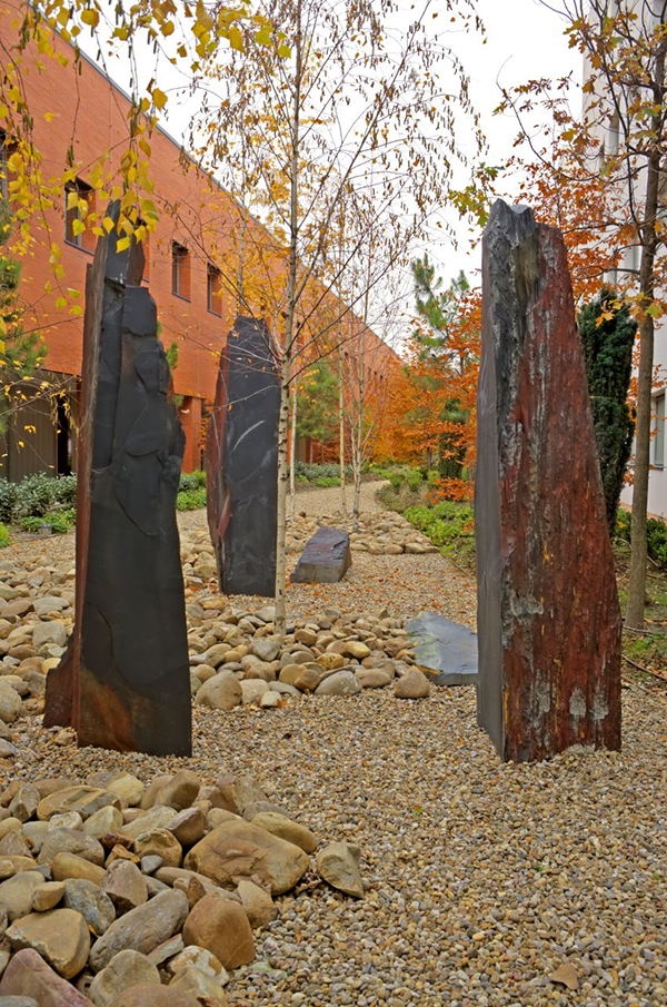 Hospital Río Ortega 3. Estudio LVEP