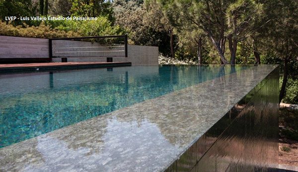 Detalle de piscina de piedra natural