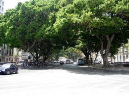 Alameda_Principal.malaga