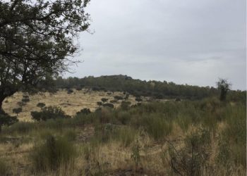 cantera castañar ibor