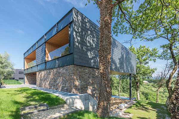casa_flotante_arboles