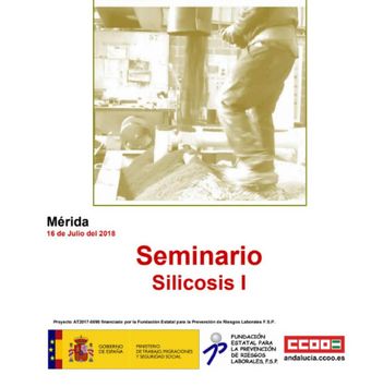 silicosis merida