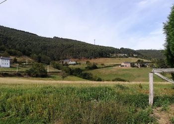 naraido