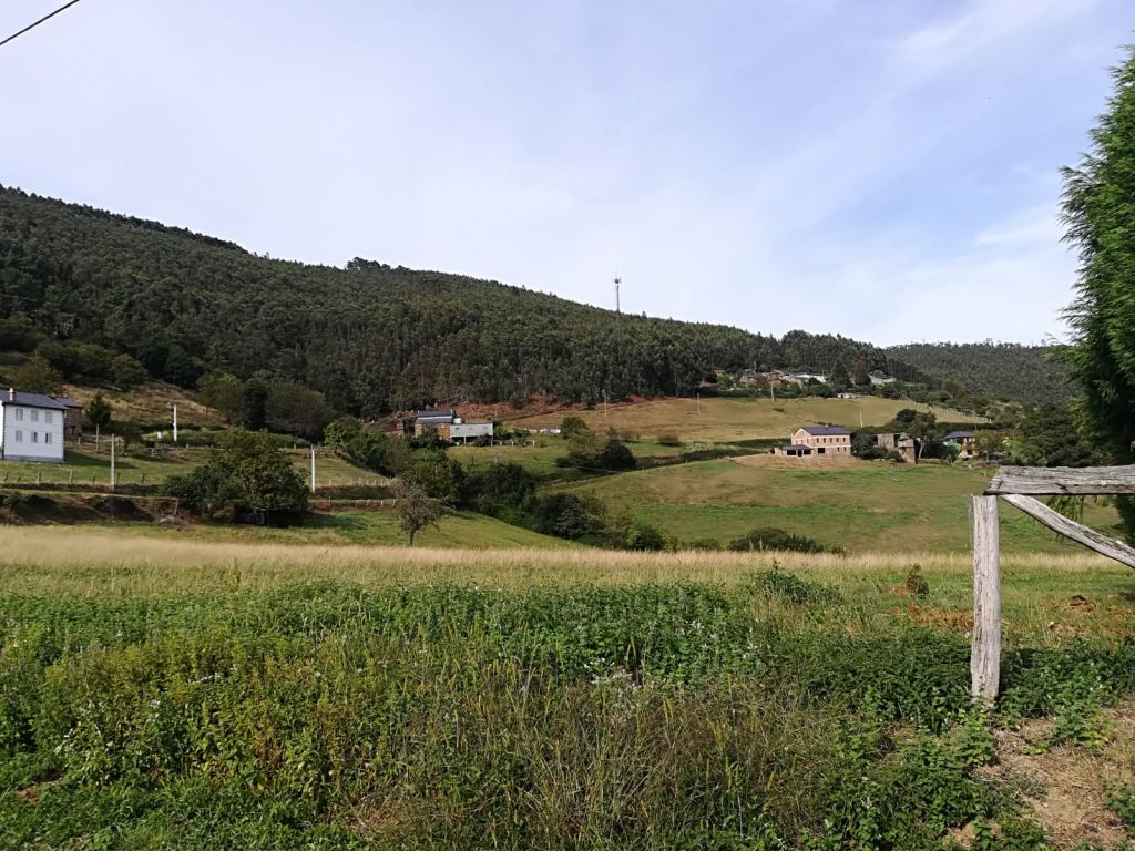 naraido