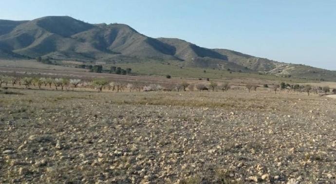 paraje santa ana