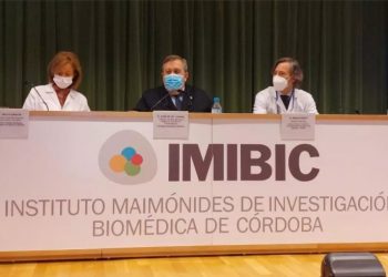 formacion silicosis