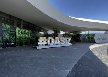 2 Oasiz pavimento entrada