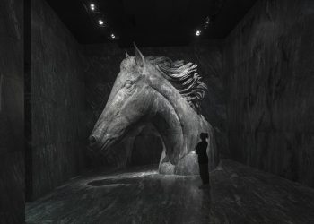 Caballo_alta_calidad
