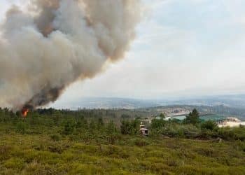 fuego rodeiro 0
