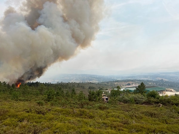 fuego rodeiro 0