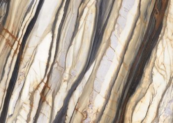 CALACATTA OYSTER SLAB A_1635X3230