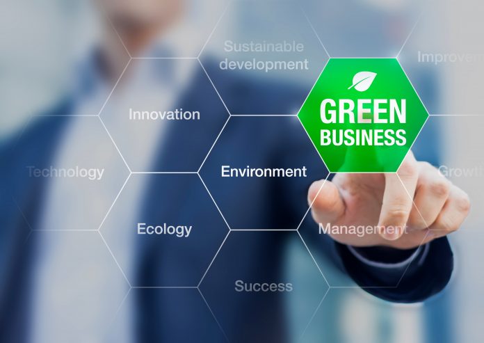 Presentation of green business concept for sustainable developme