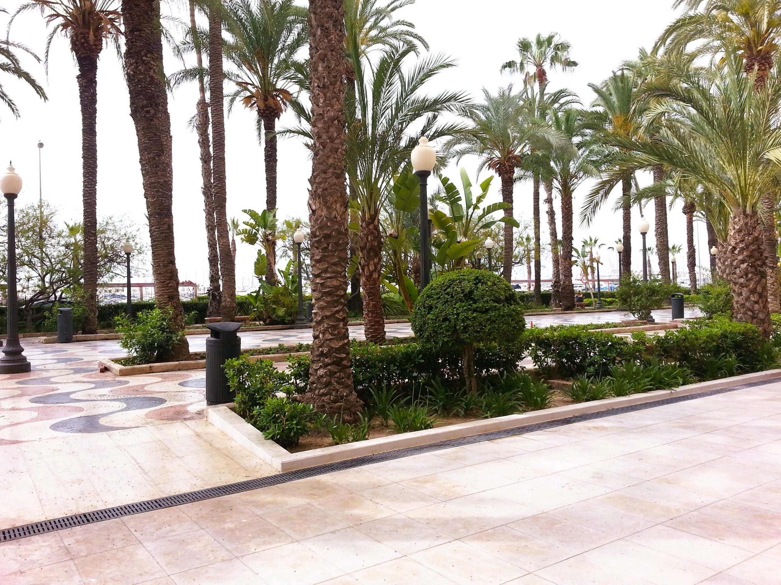 FOTO 2 PAVEX