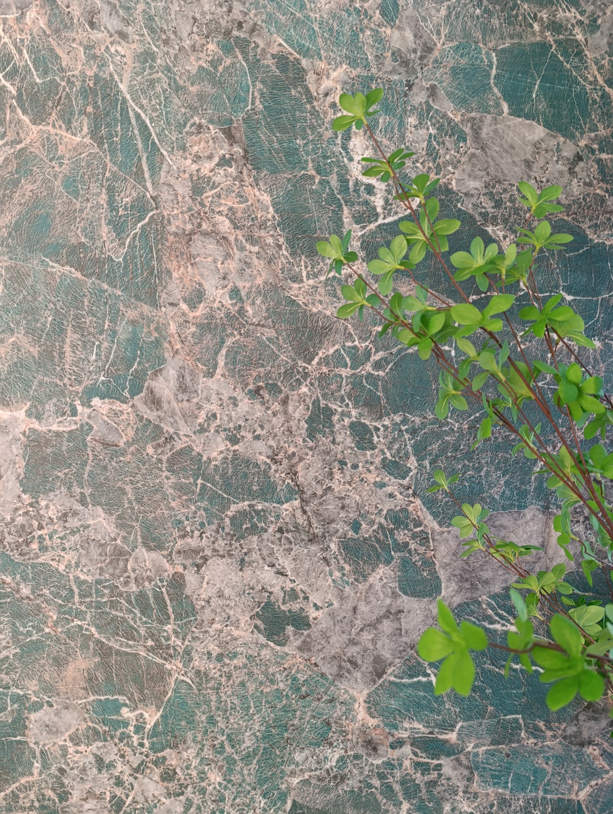 amazonite-xtone
