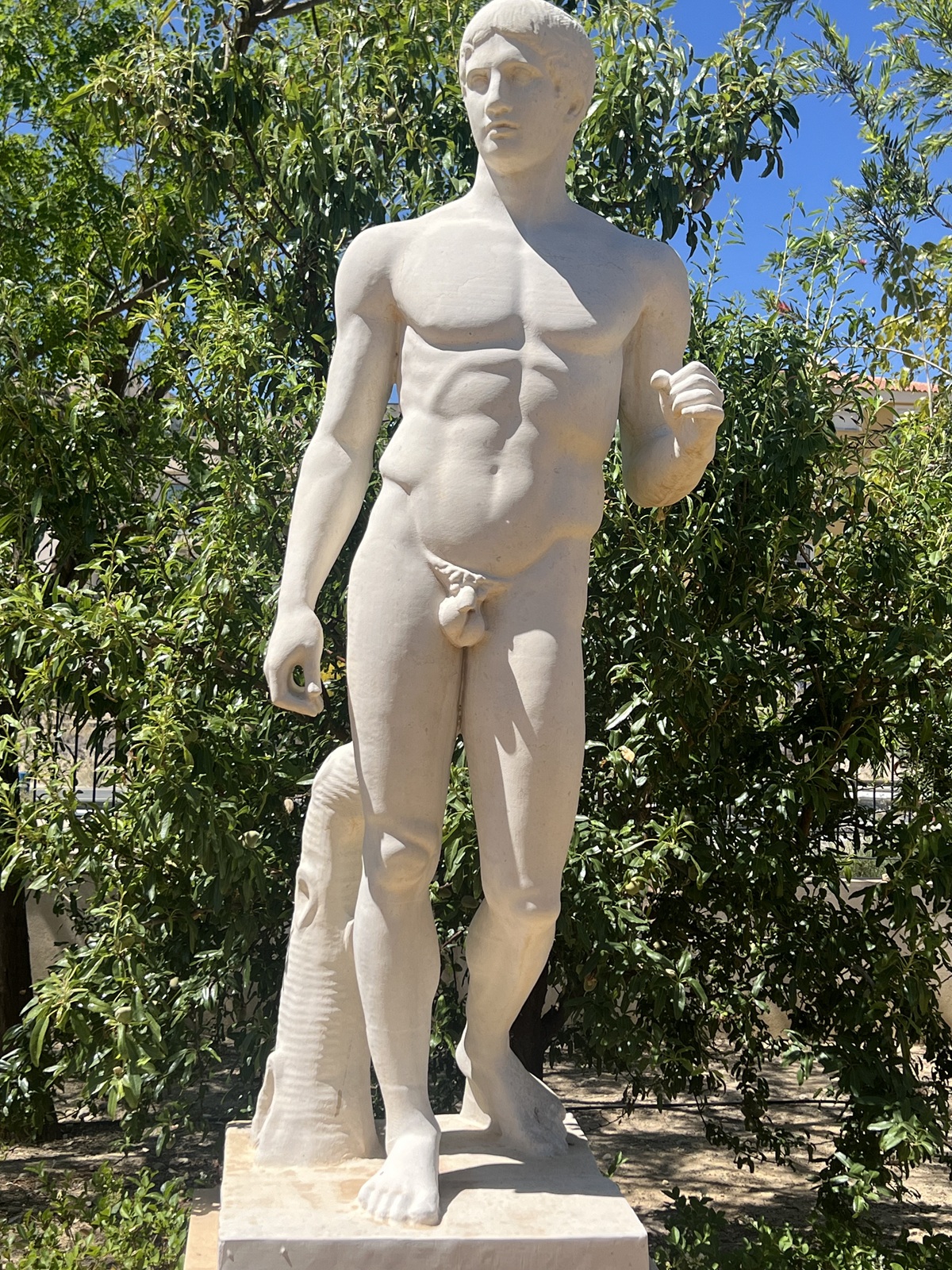 JARDÍN BOTÁNICO Y GLIPTOTECA (11)