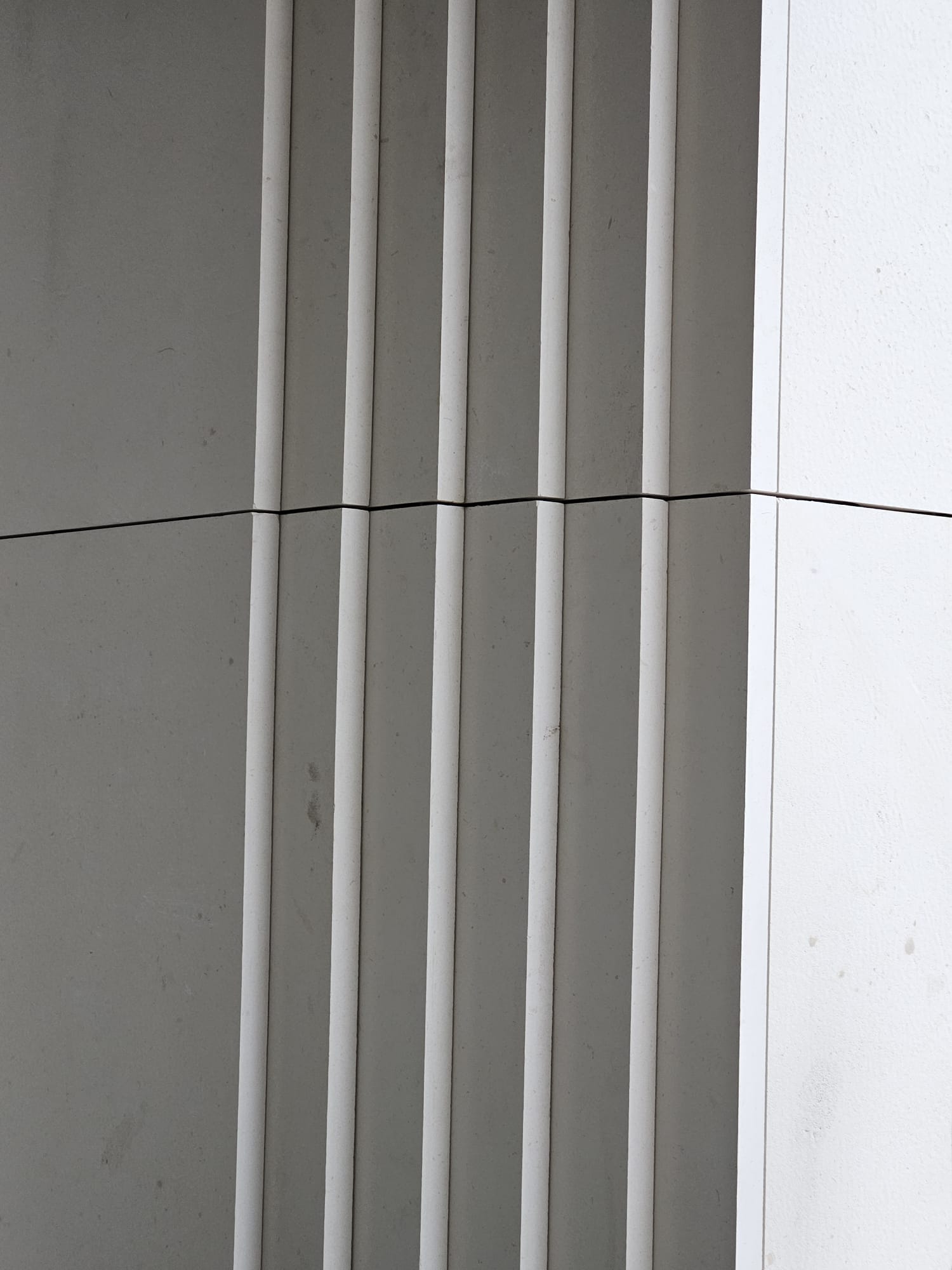 detalle piedra paloma varsovia